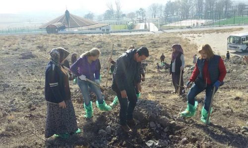 TYSD Polatlı Şubemizin Yıl Sonu Etkinlikleri