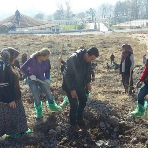 TYSD Polatlı Şubemizin Yıl Sonu Etkinlikleri