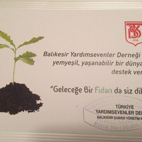 TYSD Balıkesir Şubesinin Fidan Dikme Etkinliği