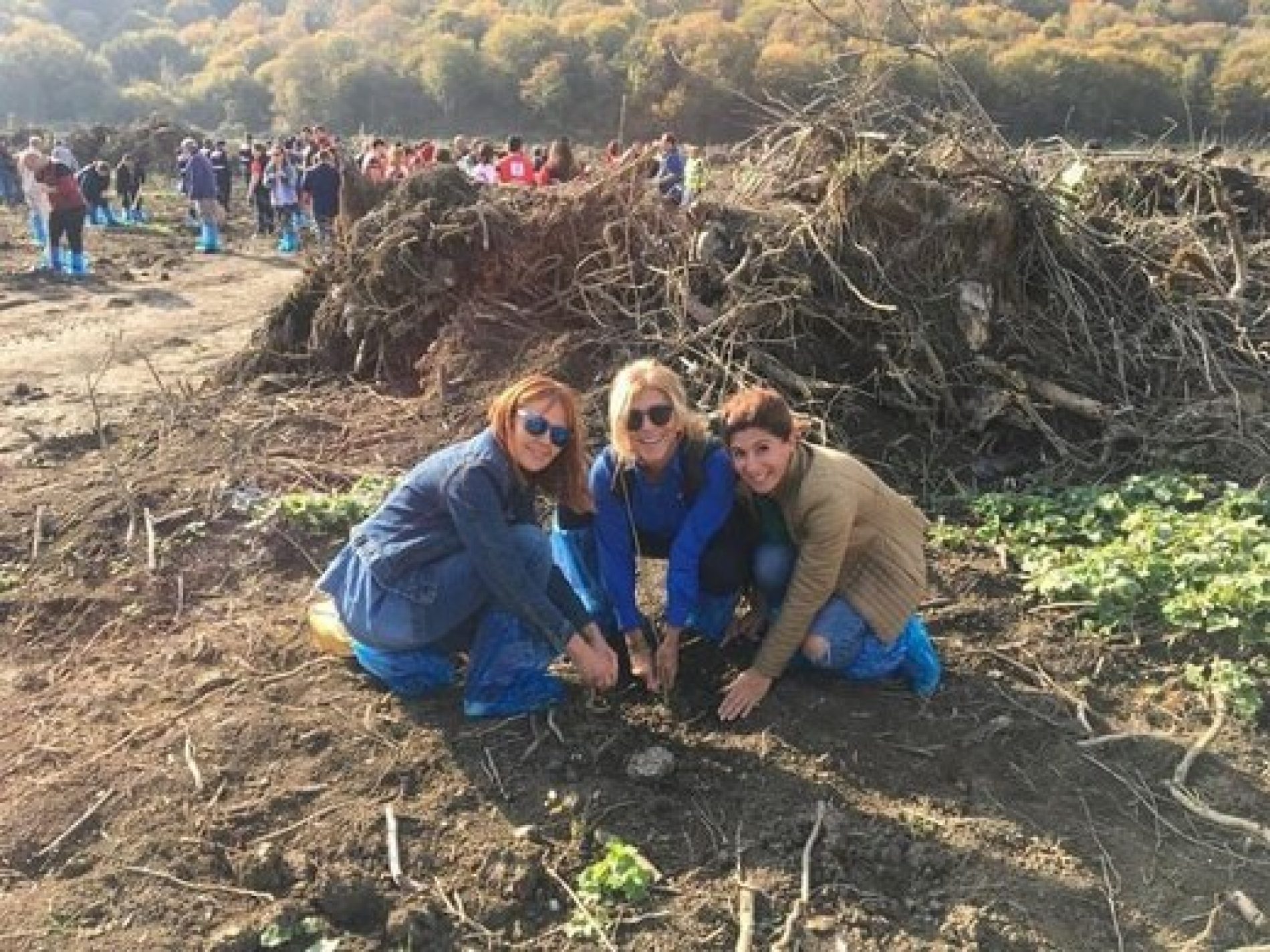 TYSD Zonguldak Şubemizin Fidan Ekimi