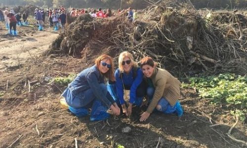 TYSD Zonguldak Şubemizin Fidan Ekimi