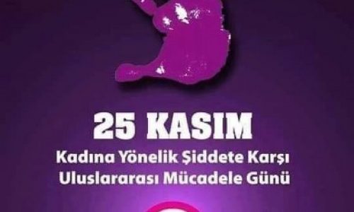 TYSD Genel Merkez Ve 133 Şubemizin “Kadına Şiddete Hayır” Mesajı