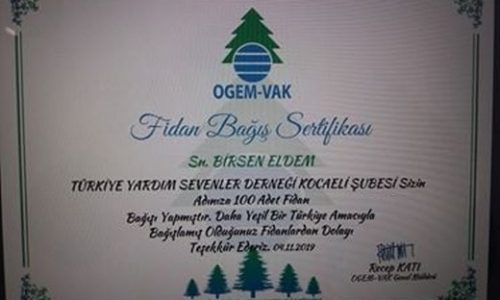 TYSD Kocaeli Şubemizden Merhum Genel Başkanımız Adına 100 Adet Fidan