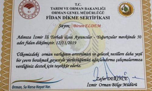 TYSD İzmir Şubemizden Fidan Dikimi