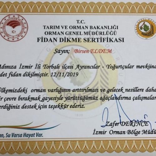 TYSD İzmir Şubemizden Fidan Dikimi