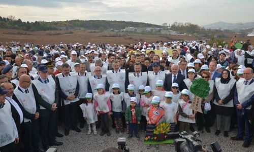 TYSD Kocaeli Şubemizden Fidan Dikimi