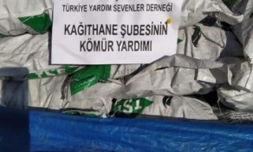 TYSD Kağıthane Şubemizin Kömür Yardımları