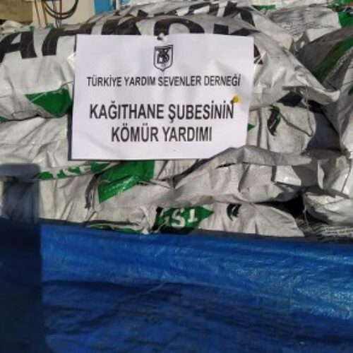 TYSD Kağıthane Şubemizin Kömür Yardımları