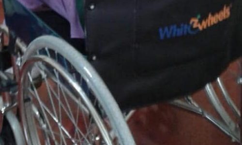 TYSD İstanbul Şubemizin Tekerlekli Sandalye Yardımları
