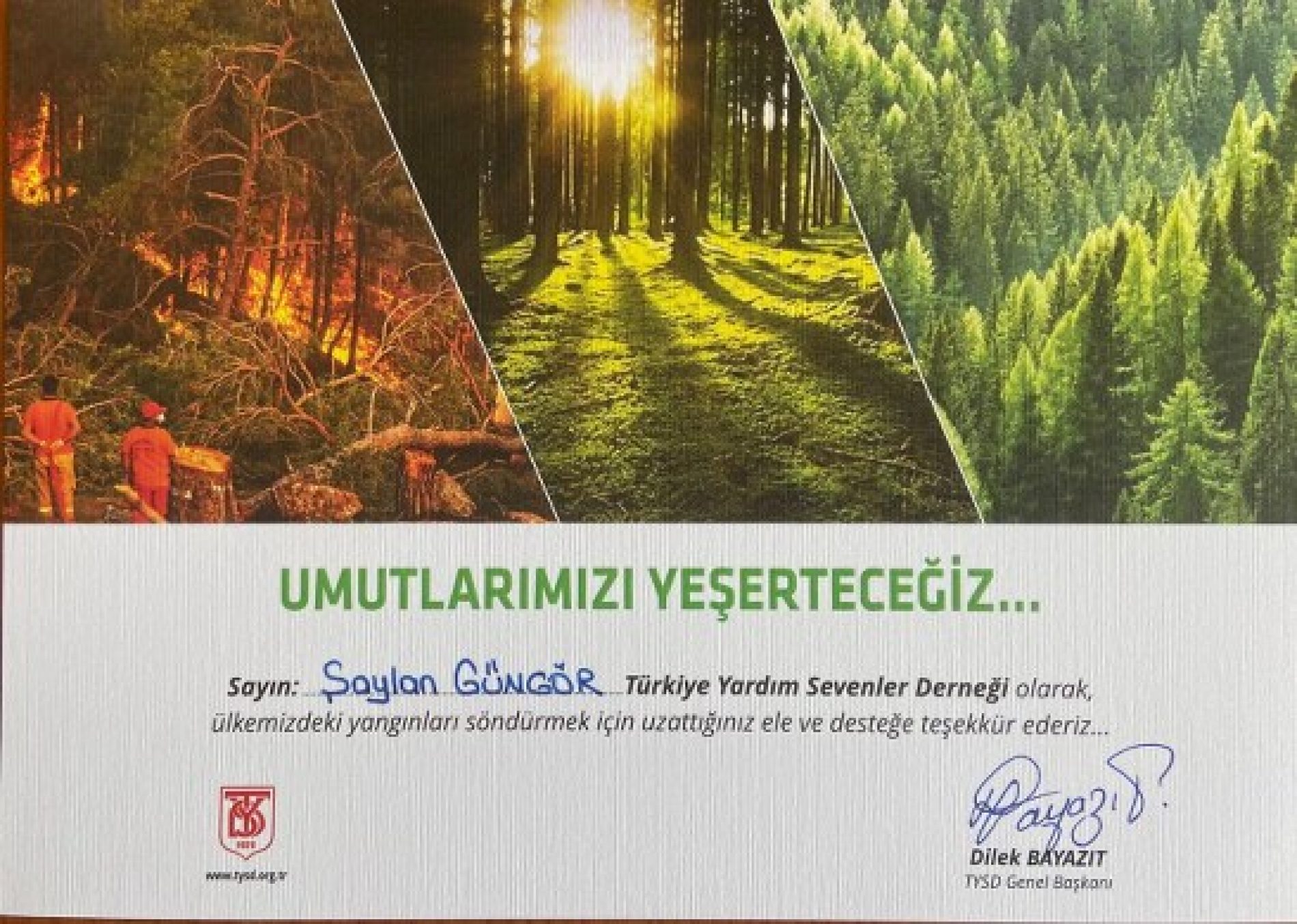 TYSD Genel Merkezi ve 132 Şubemiz ve Bağışçılarımızın Destekleri ile Umutlarımızı Yeşertmeye Devam Ediyoruz