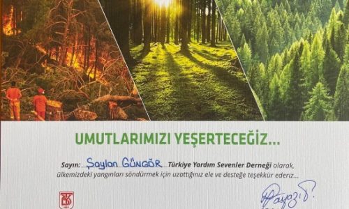 TYSD Genel Merkezi ve 132 Şubemiz ve Bağışçılarımızın Destekleri ile Umutlarımızı Yeşertmeye Devam Ediyoruz