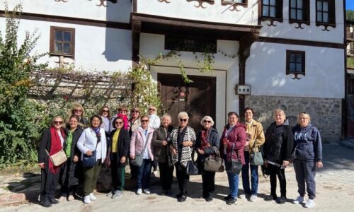 TYSD Düzce Şubemiz Kışlık Yakacak Ihtiyacı Olan Ailelerimiz için Kültürel Gezi Düzenlemiştir