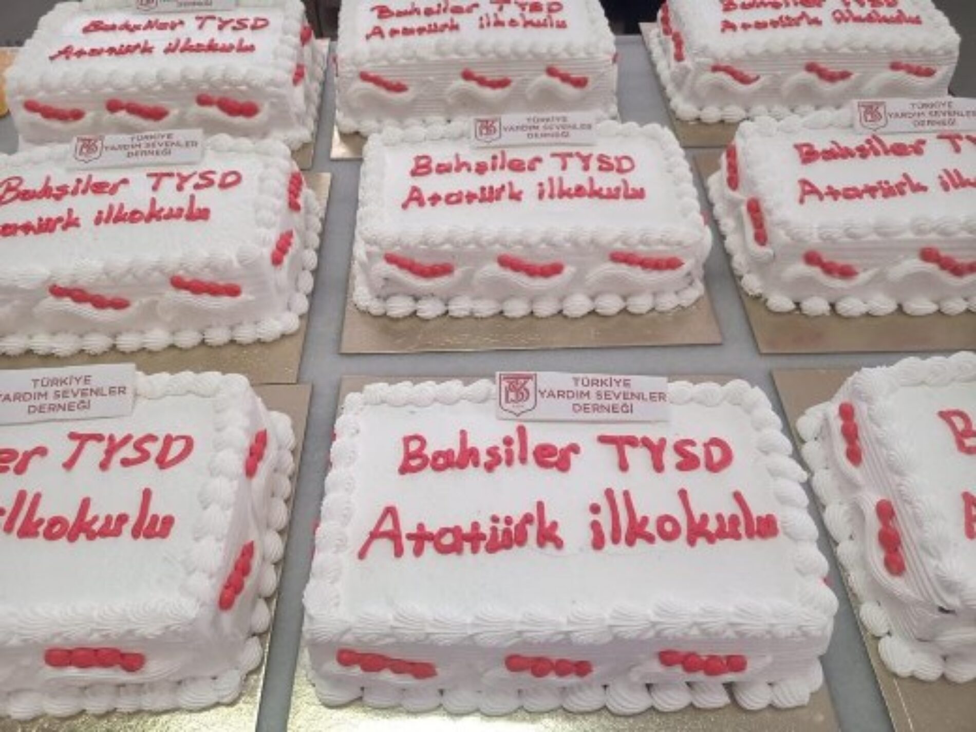 TYSD Bakırköy Şubemiz Çocuklarımıza 23 Nisan İçin Pasta Göndermiştir