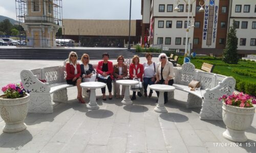 TYSD Manisa Şubemizin Gerçekleştirmiş Olduğu Ziyaret
